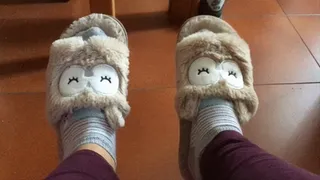 miss Minnie shows you her adorable slippers