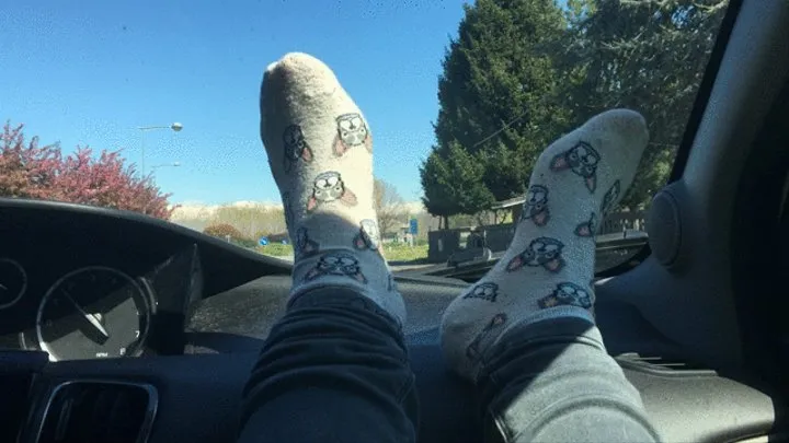 miss minnie is rude - she travels with her feet over the dashboard of the car showing the world her socks