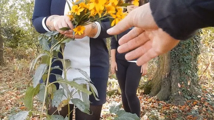 Fiori di bestemmie