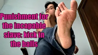 punishment to the incapable slave: lots of kicks in the balls