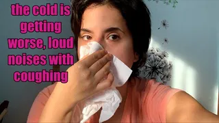 I blow my nose very loudly - this February cold is getting worse and worse