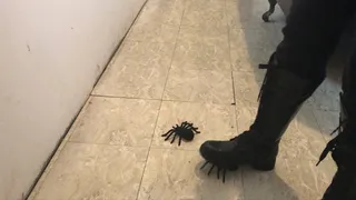 Toy Spiders VS Combat Boots