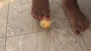 Toy Chick VS Sexy Barefoot