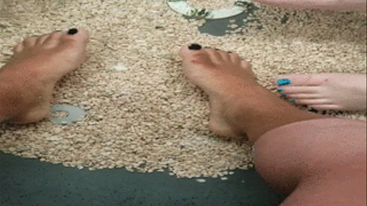 Doctor fish hard at work on feet