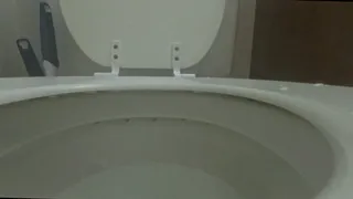 Tiny Human Fred Swimming in Evil Giantess Toilet POV