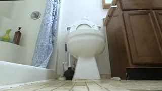 Giantess - You are but a Speck, a mere blip in a Giantess World POV, toilet fetish, Shrinking fetish