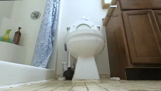 Giantess - You are but a Speck, a mere blip in a Giantess World POV, toilet fetish, Shrinking fetish