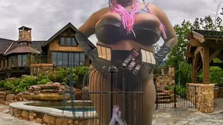 Shrinking fetish - Giantess MXDominion has fun teasing her new tiny pet while its in its cage, female domination, giantess special effects, giantess