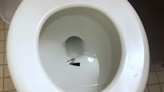 Tiny Ship in Giantess Toilet