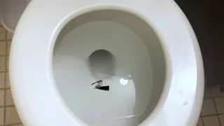 Tiny Ship In Giantess Toilet