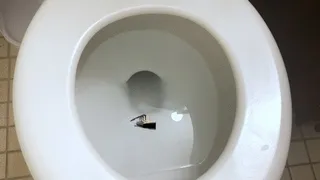 Tiny Ship in Giantess Toilet