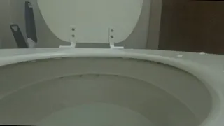 Toilet Fetish - Tiny Human Fred Swimming in Evil Giantess MXDominion's Huge Toilet POV, Female Domination, Shrinking fetish