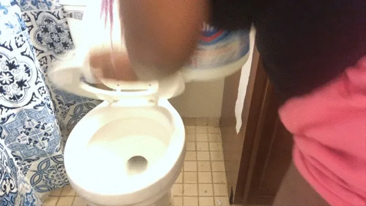 Teenie goes for a Ride on Giantess Toilet Brush