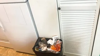 Giantess Crashes Tiny human Party in her Trash
