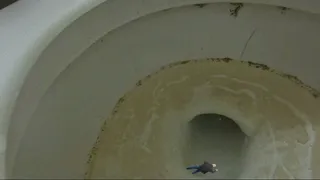 Teenie Swims in a giantesses Huge Nasty Toilet