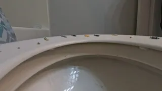 Tinies Hanging out on Giantess Toilet