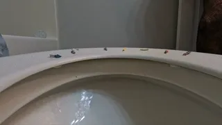 Tinies on Giantess Toilet