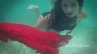 Cancun Underwater