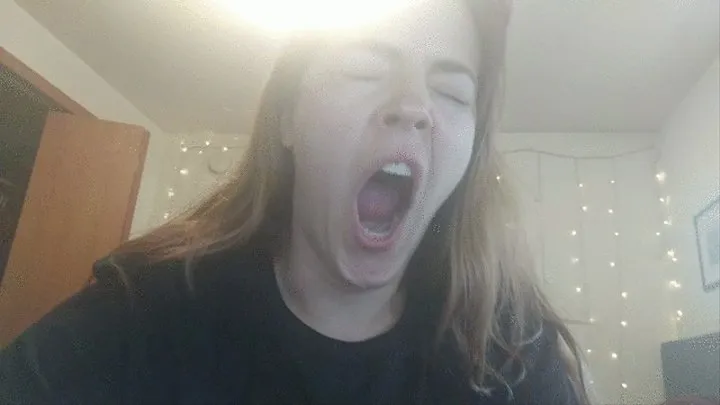 Yawning Compilation