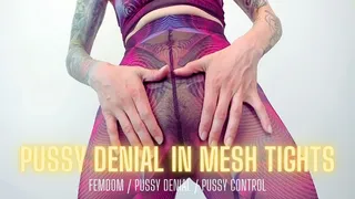 Pussy Denial in Mesh Tights