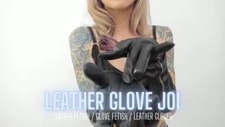 Sensual Leather Glove JOI