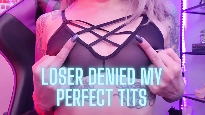 Loser Denied my Perfect Tits