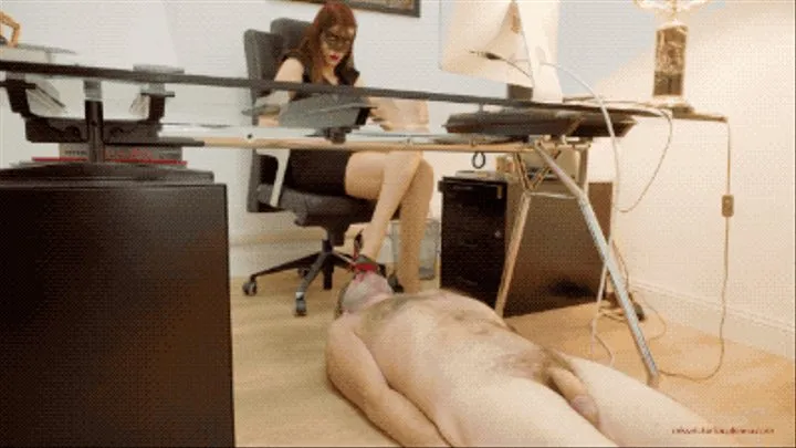 M V C - UNDERDESK LICKING & HUMILIATION