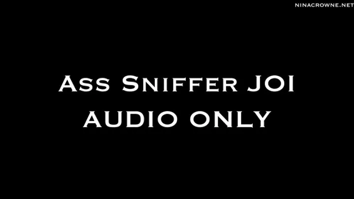 Asshole Sniffer JOI AUDIO ONLY