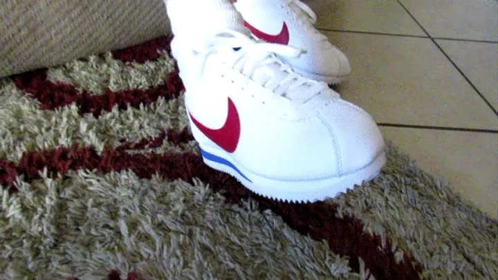 Nike Cortez Pet Sitters Reward POV