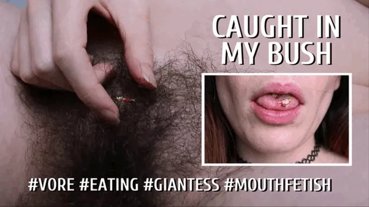 Caught In Giantess' Bush by HannyTV from World of Vore