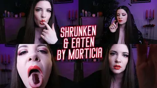 Morticia Shrinks & Swallows - COSPLAY VORE - by HannyTV at World of Vore