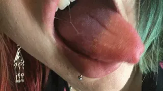 Tongue my Tiny
