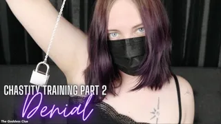 Chastity Training Part 2: Denial