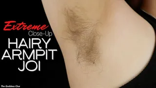 Extreme Close Up Hairy Armpit JOI