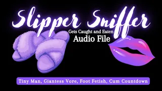 Slipper Sniffer Gets Caught and Eaten - Audio File - The Goddess Clue, Tiny Man, Giantess Vore, Shoe Smelling, Foot Fetish and Cum Countdown