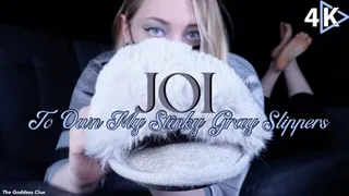 JOI to Own My Stinky Gray Slippers - - The Goddess Clue, Scent Fetish, Shoe Fetish, Foot Slave Training, Well Worn Slippers and Feet JOI