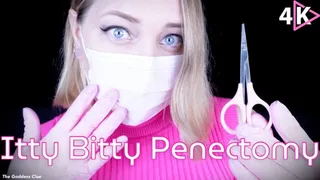 Itty Bitty Penectomy - - The Goddess Clue, Medical Fetish, Gelding, Castration, Small Penis Humiliation, Nurse Fetish, Glove Fetish and Penis Removal Surgery Fantasy