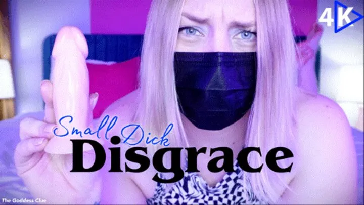 Small Dick Disgrace