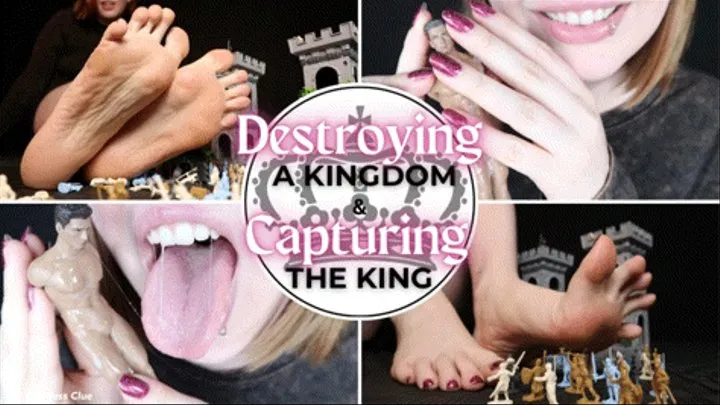 Destroying a Kingdom and Capturing the King