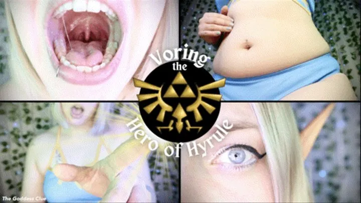 Voring the Hero of Hyrule