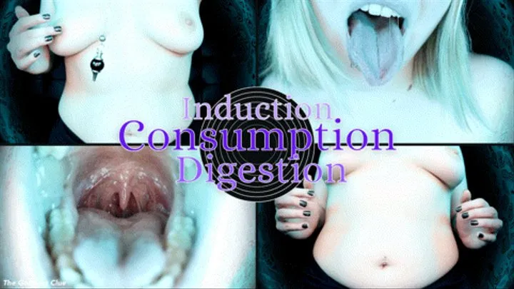 Induction, Consumption, Digestion