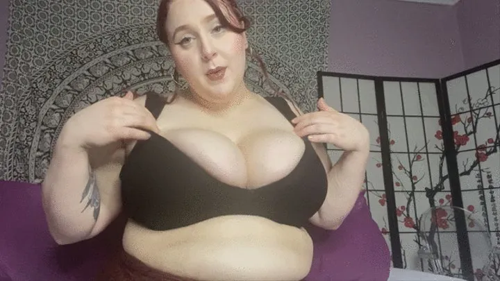 BBW ass worship in leggings