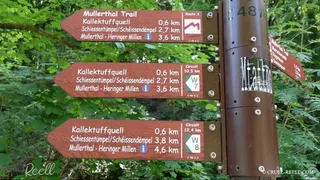 REELL - SIGHTSEEING A? LA REELL - THE MULLERTHAL TRAIL COMPILATION