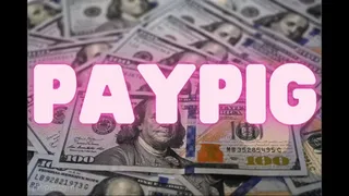 PAYPIG