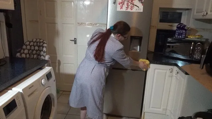 Maid cleaning the fridge