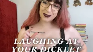 Laughing At Your Dicklet (AUDIO) MP3