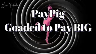 PayPig Goaded to Pay BIG