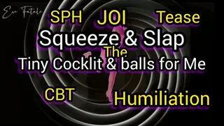 Squeeze & Slap The Tiny Cocklit & balls for Me