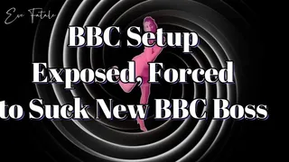 BBC Setup Exposed, Encouraged to Suck Your BBC Boss Off BNWO