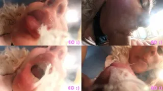 Extreme Close Up Blowjob And Kisses